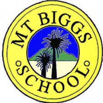 Mount Biggs School