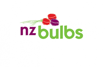 NZ Bulbs