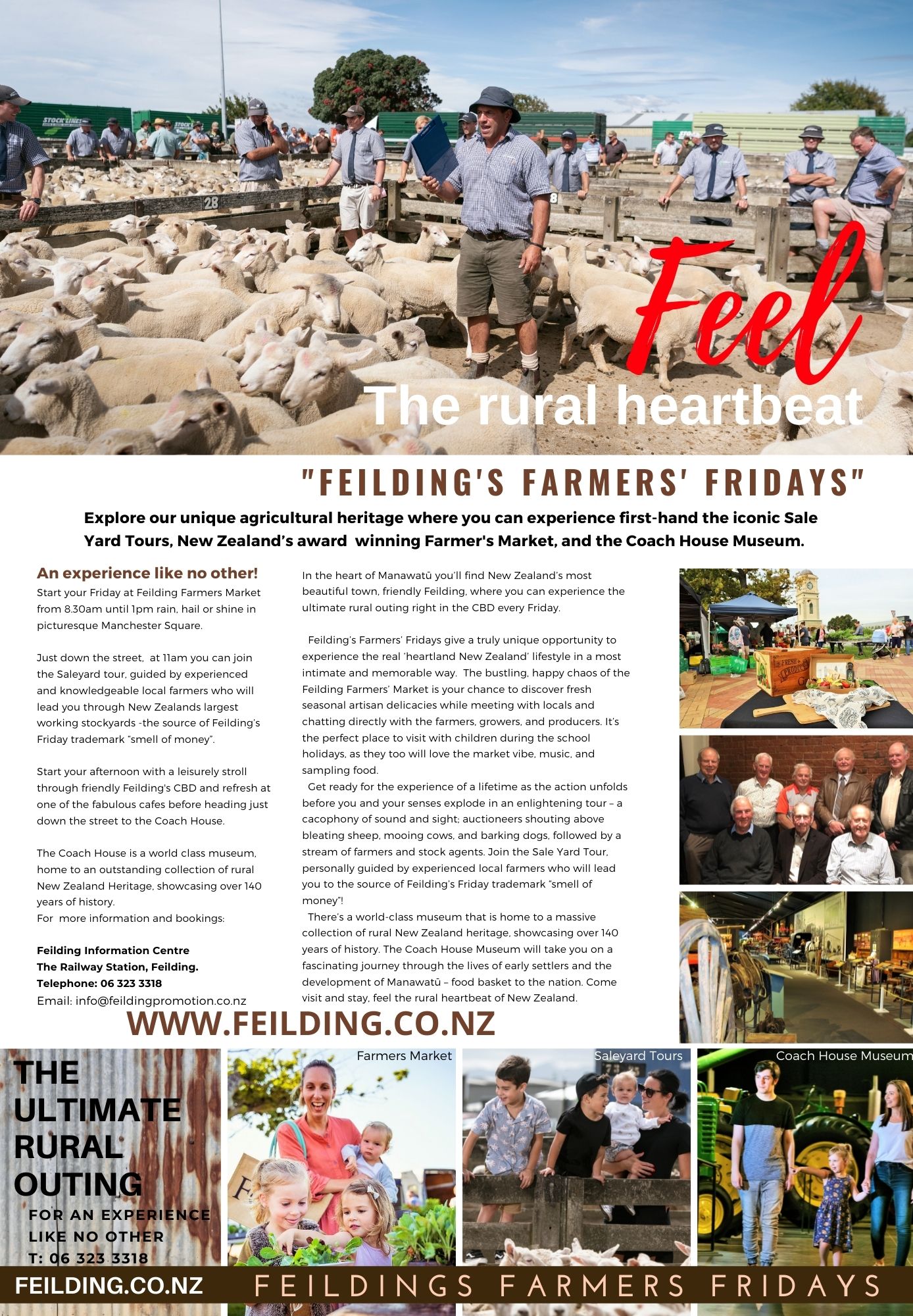 Feilding Farmers Fridays Manawatu Attraction